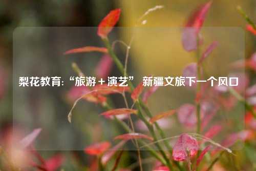 梨花教育:“旅游＋演艺” 新疆文旅下一个风口
