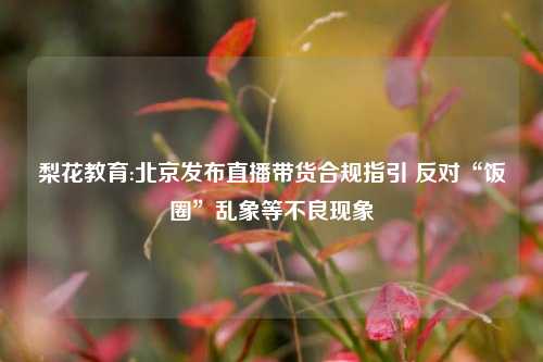 梨花教育:北京发布直播带货合规指引 反对“饭圈”乱象等不良现象