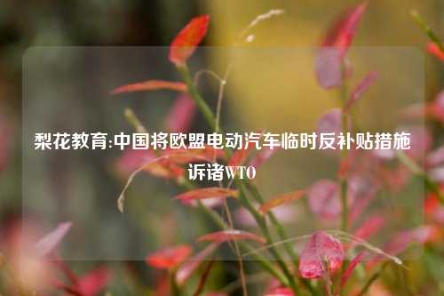 梨花教育:中国将欧盟电动汽车临时反补贴措施诉诸WTO