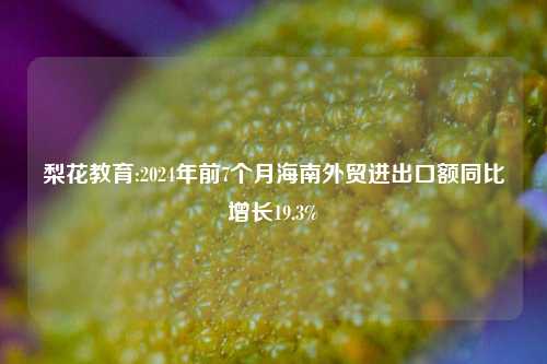 梨花教育:2024年前7个月海南外贸进出口额同比增长19.3%
