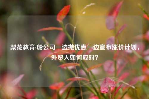 梨花教育:船公司一边抛优惠一边宣布涨价计划，外贸人如何应对？