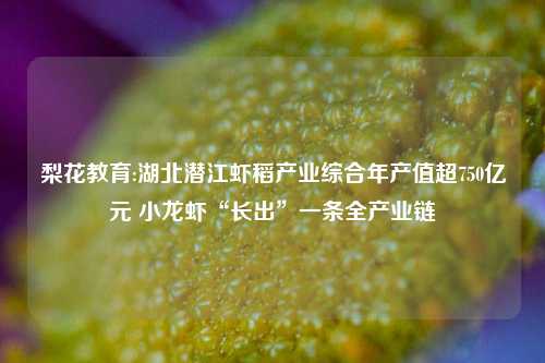 梨花教育:湖北潜江虾稻产业综合年产值超750亿元 小龙虾“长出”一条全产业链