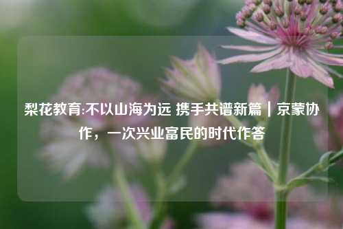 梨花教育:不以山海为远 携手共谱新篇｜京蒙协作，一次兴业富民的时代作答