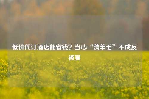 低价代订酒店能省钱？当心“薅羊毛”不成反被骗