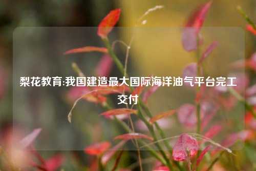 梨花教育:我国建造最大国际海洋油气平台完工交付