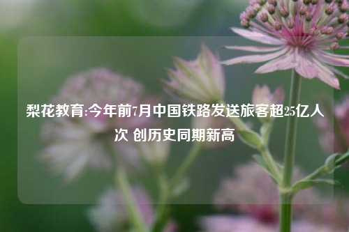 梨花教育:今年前7月中国铁路发送旅客超25亿人次 创历史同期新高