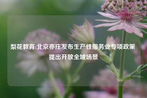 梨花教育:北京亦庄发布生产性服务业专项政策 提出开放全域场景