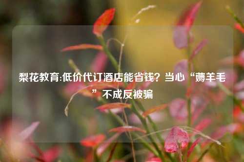 梨花教育:低价代订酒店能省钱？当心“薅羊毛”不成反被骗