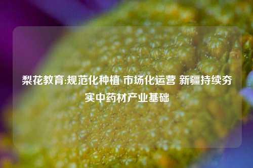 梨花教育:规范化种植 市场化运营 新疆持续夯实中药材产业基础