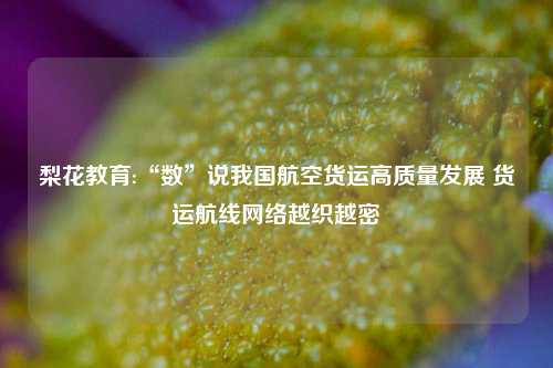 梨花教育:“数”说我国航空货运高质量发展 货运航线网络越织越密