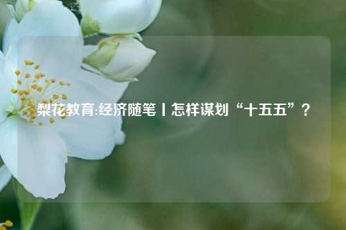 梨花教育:经济随笔丨怎样谋划“十五五”？