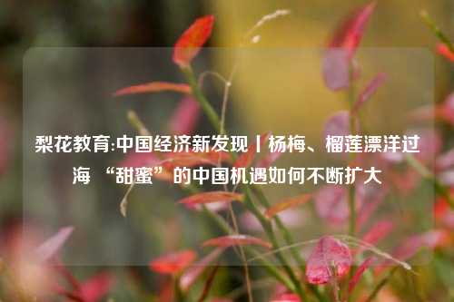 梨花教育:中国经济新发现丨杨梅、榴莲漂洋过海 “甜蜜”的中国机遇如何不断扩大