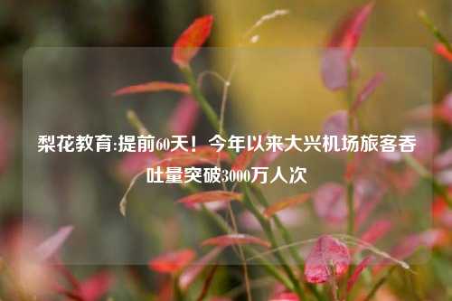 梨花教育:提前60天！今年以来大兴机场旅客吞吐量突破3000万人次