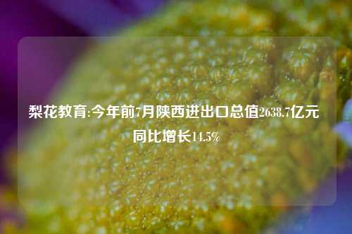 梨花教育:今年前7月陕西进出口总值2638.7亿元 同比增长14.5%