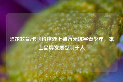 梨花教育:卡牌价格炒上数万元坑害青少年，本土品牌发展受制于人