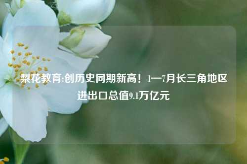 梨花教育:创历史同期新高！1—7月长三角地区进出口总值9.1万亿元