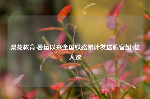 梨花教育:暑运以来全国铁路累计发送旅客超6亿人次