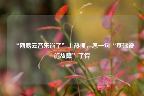 “网易云音乐崩了”上热搜，怎一句“基础设施故障”了得