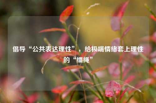 倡导“公共表达理性”，给极端情绪套上理性的“缰绳”