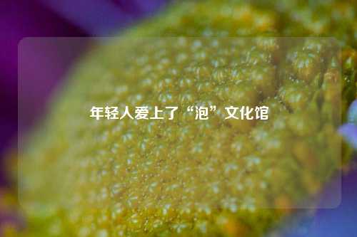 年轻人爱上了“泡”文化馆