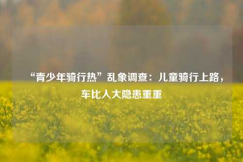 “青少年骑行热”乱象调查：儿童骑行上路，车比人大隐患重重