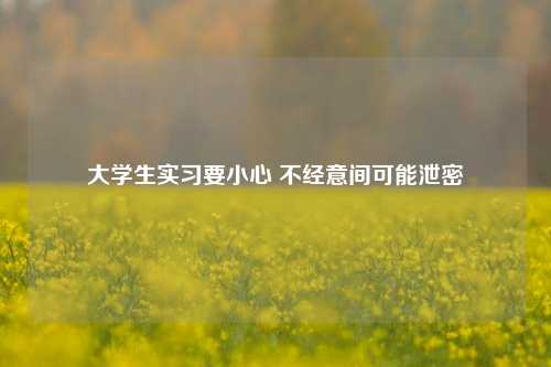 大学生实习要小心 不经意间可能泄密