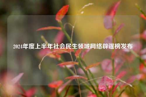 2024年度上半年社会民生领域网络辟谣榜发布