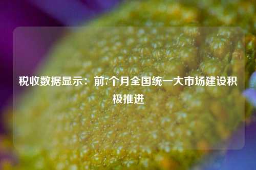 税收数据显示：前7个月全国统一大市场建设积极推进