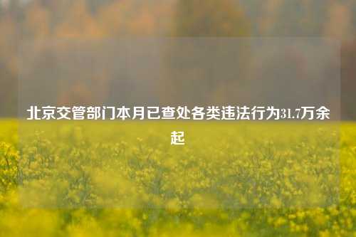 北京交管部门本月已查处各类违法行为31.7万余起