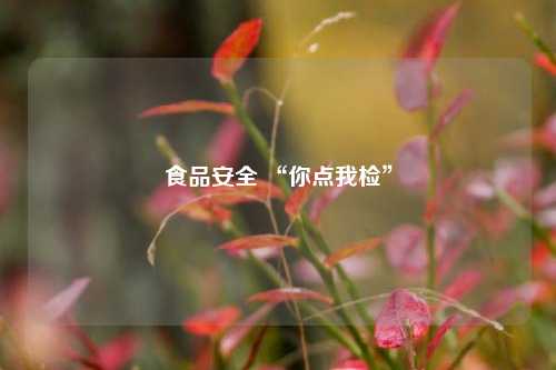 食品安全 “你点我检”