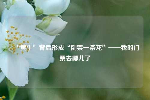“黄牛”背后形成“倒票一条龙”——我的门票去哪儿了
