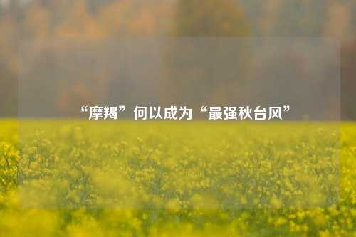 “摩羯”何以成为“最强秋台风”