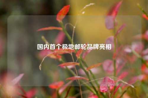 国内首个极地邮轮品牌亮相