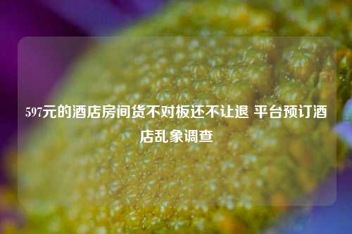 597元的酒店房间货不对板还不让退 平台预订酒店乱象调查