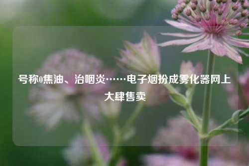 号称0焦油、治咽炎……电子烟扮成雾化器网上大肆售卖
